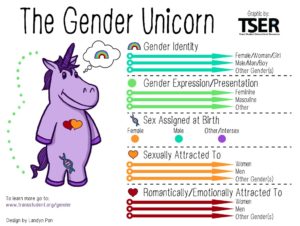 kinsey scale test buzzfeed kinsey scale test buzzfeed
