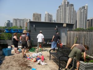 Young people working on the Eva's Satellite rooftop garden,