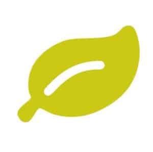 leaf-icon