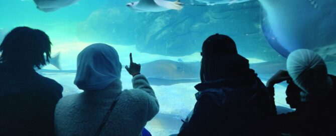 Eva's young people take a trip to the aquarium